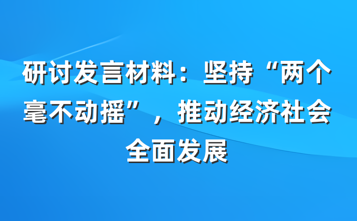 研讨发言材料：坚持“两个毫不动摇”，推动经济社会全面发展