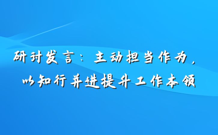 研讨发言：主动担当作为，以知行并进提升工作本领