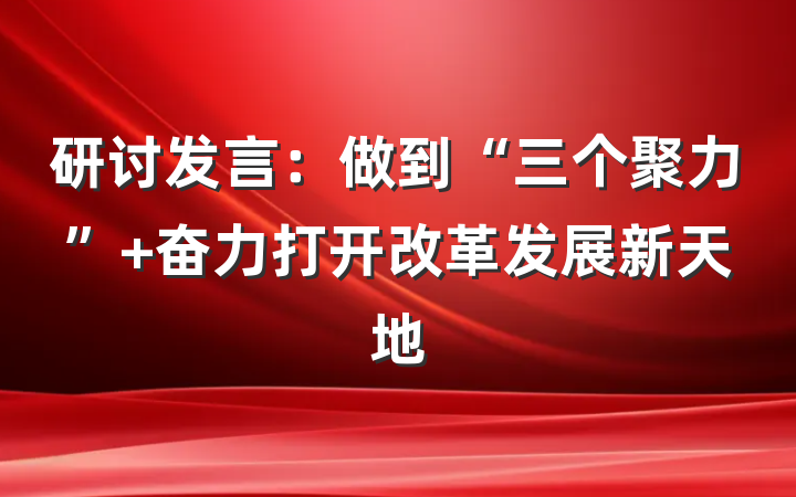 研讨发言：做到“三个聚力” 奋力打开改革发展新天地