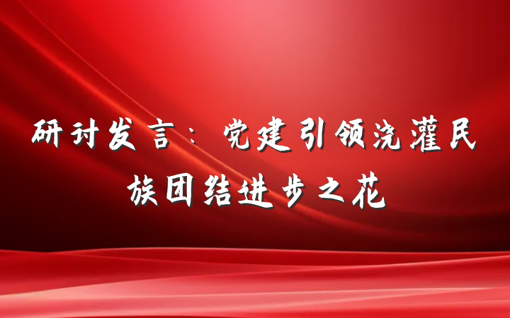 研讨发言：党建引领浇灌民族团结进步之花