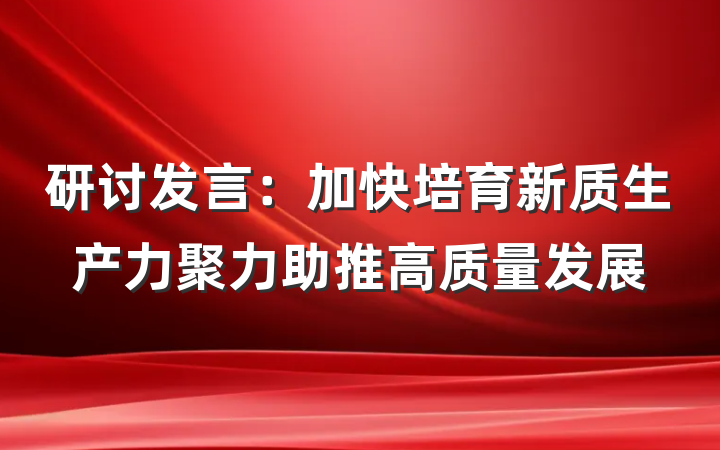 研讨发言：加快培育新质生产力聚力助推高质量发展