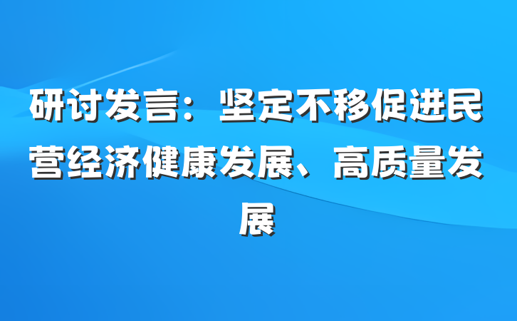 研讨发言：坚定不移促进民营经济健康发展、高质量发展