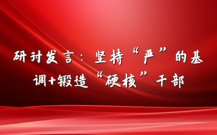 研讨发言：坚持“严”的基调 锻造“硬核”干部