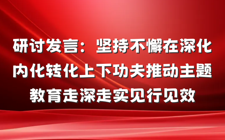 研讨发言：坚持不懈在深化内化转化上下功夫推动主题教育走深走实见行见效