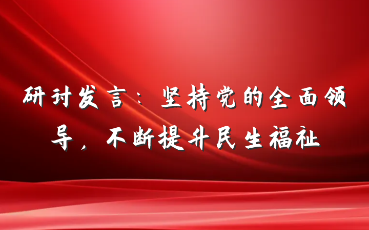 研讨发言：坚持党的全面领导，不断提升民生福祉