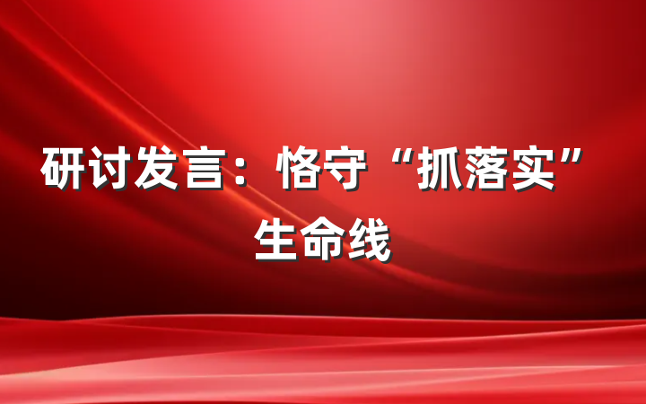 研讨发言：恪守“抓落实”生命线