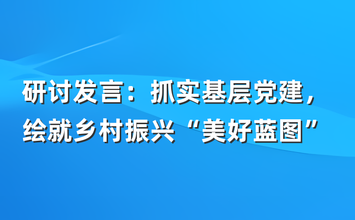 研讨发言：抓实基层党建，绘就乡村振兴“美好蓝图”