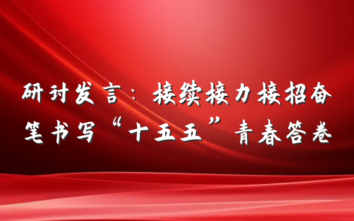 研讨发言：接续接力接招奋笔书写“十五五”青春答卷