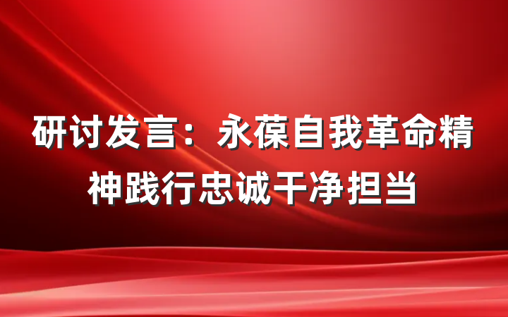 研讨发言：永葆自我革命精神践行忠诚干净担当