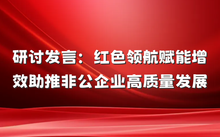 研讨发言：红色领航赋能增效助推非公企业高质量发展