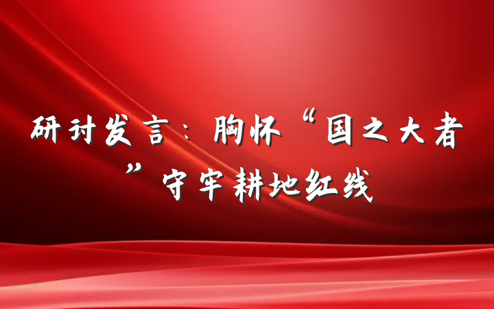 研讨发言：胸怀“国之大者”守牢耕地红线