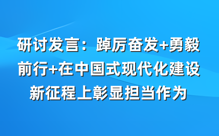 研讨发言：踔厉奋发 勇毅前行 在中国式现代化建设新征程上彰显担当作为