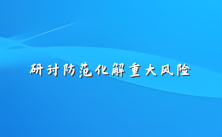 研讨防范化解重大风险