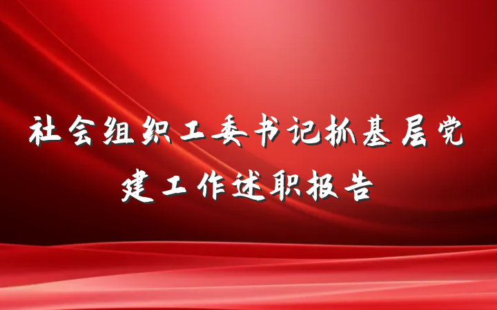 社会组织工委书记抓基层党建工作述职报告
