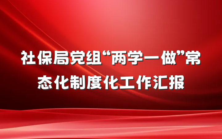 社保局党组“两学一做”常态化制度化工作汇报