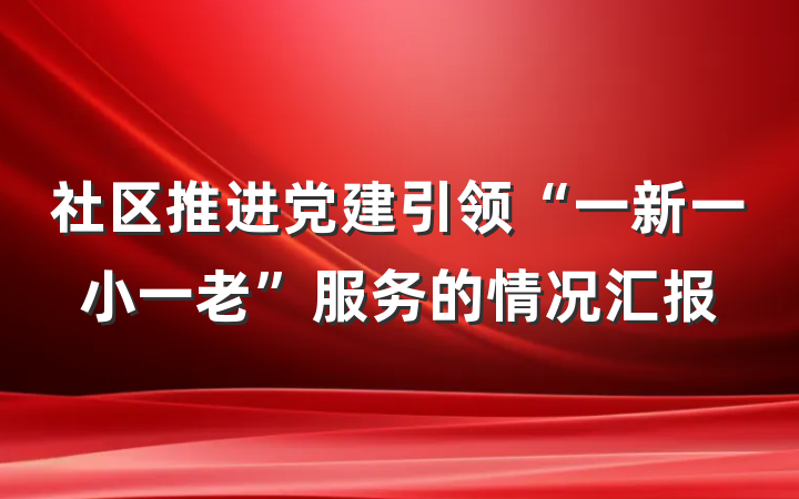 社区推进党建引领“一新一小一老”服务的情况汇报
