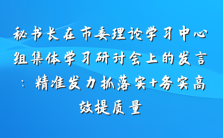秘书长在市委理论学习中心组集体学习研讨会上的发言：精准发力抓落实 务实高效提质量
