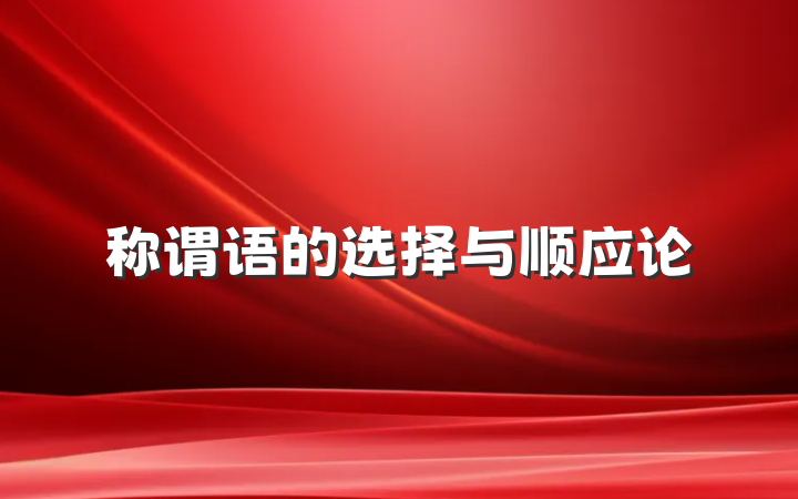 称谓语的选择与顺应论