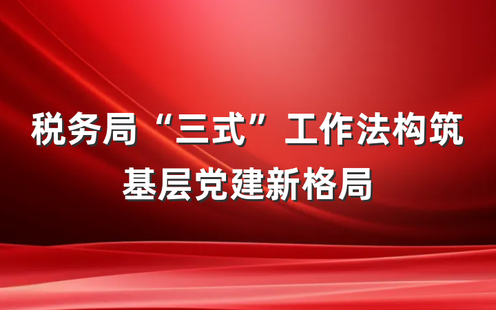 税务局“三式”工作法构筑基层党建新格局
