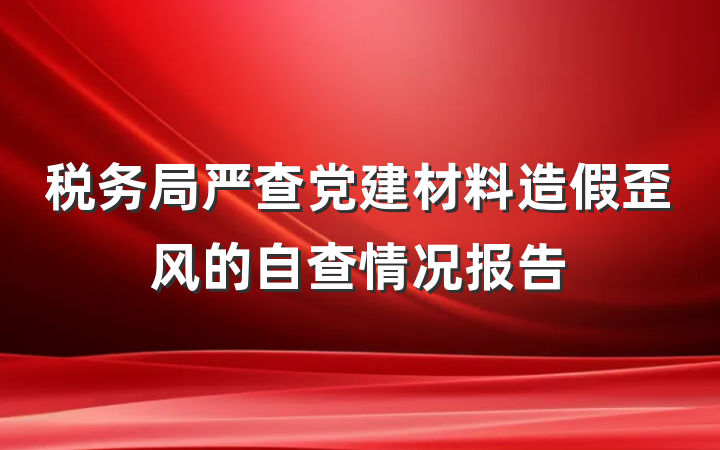 税务局严查党建材料造假歪风的自查情况报告