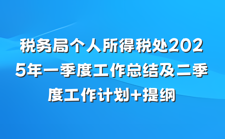税务局个人所得税处2025年一季度工作总结及二季度工作计划 提纲