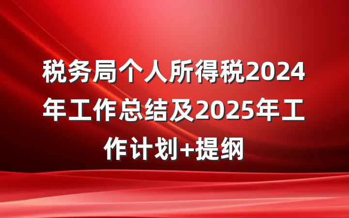 税务局个人所得税2024年工作总结及2025年工作计划 提纲