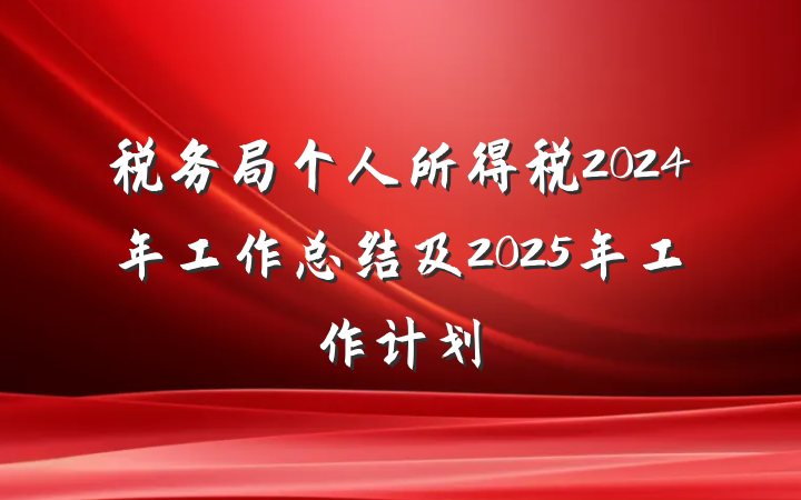 税务局个人所得税2024年工作总结及2025年工作计划