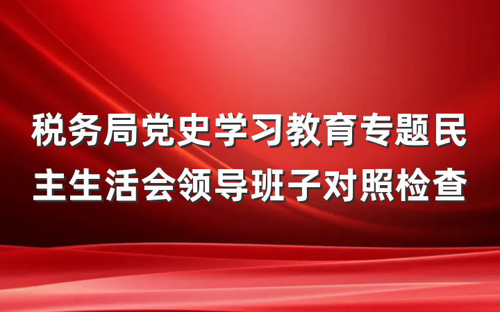 税务局党史学习教育专题民主生活会领导班子对照检查