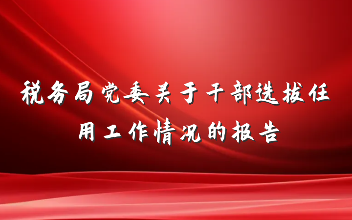 税务局党委关于干部选拔任用工作情况的报告