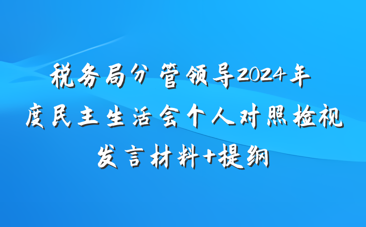税务局分管领导2024年度民主生活会个人对照检视发言材料 提纲