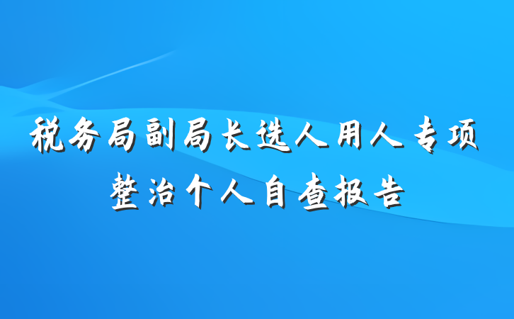 税务局副局长选人用人专项整治个人自查报告