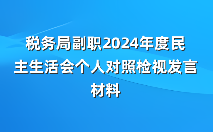 税务局副职2024年度民主生活会个人对照检视发言材料