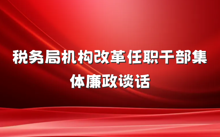 税务局机构改革任职干部集体廉政谈话