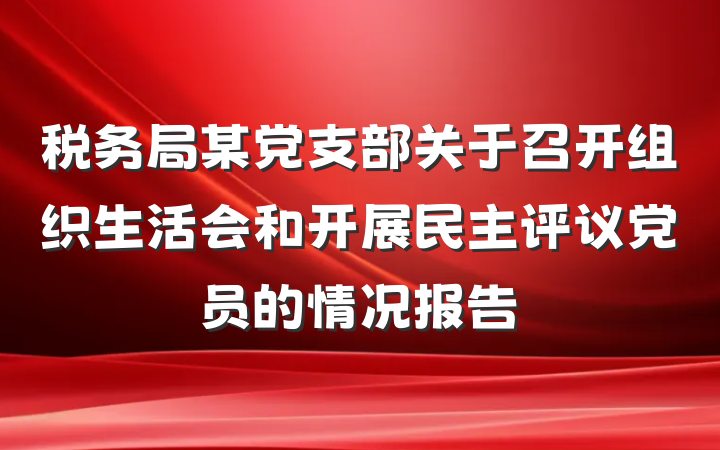 税务局某党支部关于召开组织生活会和开展民主评议党员的情况报告