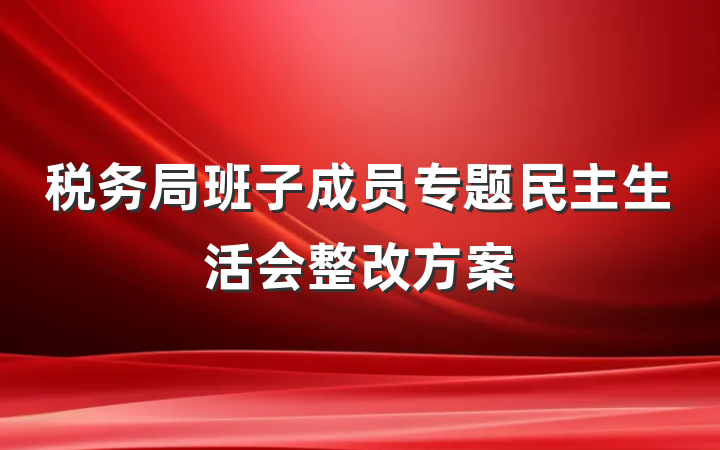 税务局班子成员专题民主生活会整改方案