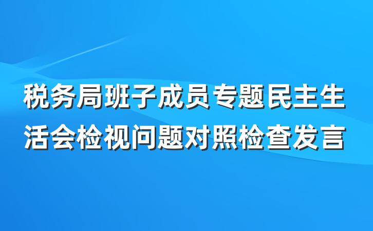 税务局班子成员专题民主生活会检视问题对照检查发言