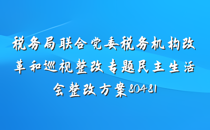 税务局联合党委税务机构改革和巡视整改专题民主生活会整改方案80481