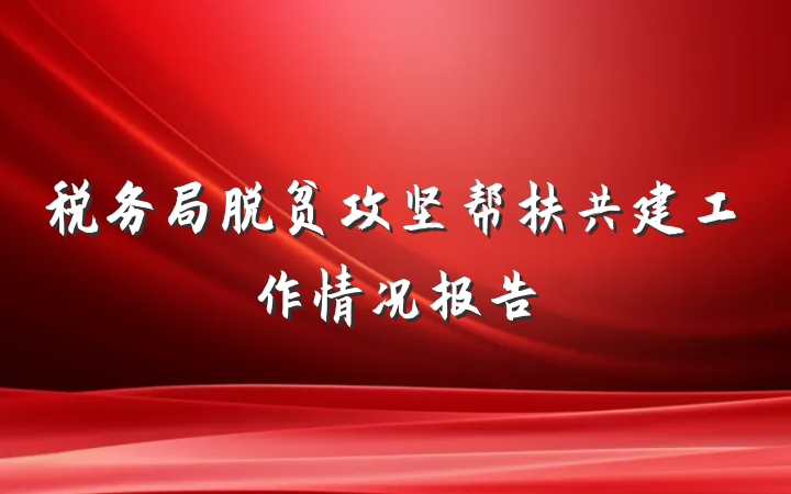 税务局脱贫攻坚帮扶共建工作情况报告