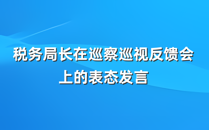 税务局长在巡察巡视反馈会上的表态发言