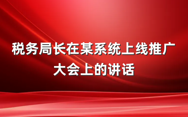 税务局长在某系统上线推广大会上的讲话