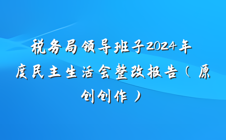 税务局领导班子2024年度民主生活会整改报告（原创创作）