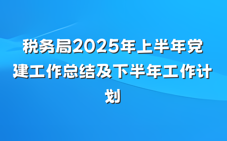 税务局2025年上半年党建工作总结及下半年工作计划
