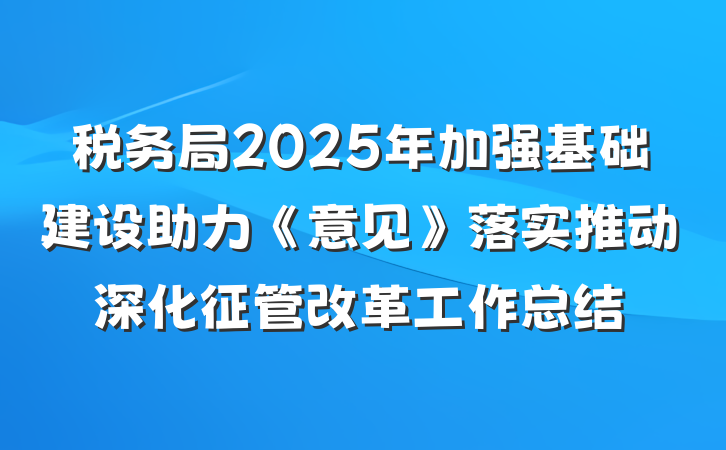 税务局2025年加强基础建设助力《意见》落实推动深化征管改革工作总结