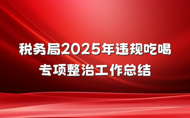 税务局2025年违规吃喝专项整治工作总结