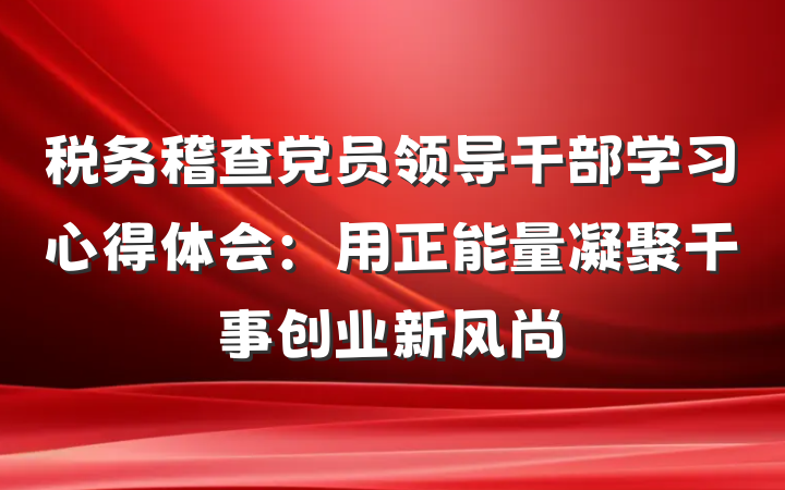 税务稽查党员领导干部学习心得体会：用正能量凝聚干事创业新风尚