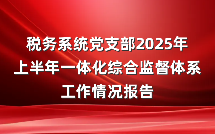 税务系统党支部2025年上半年一体化综合监督体系工作情况报告