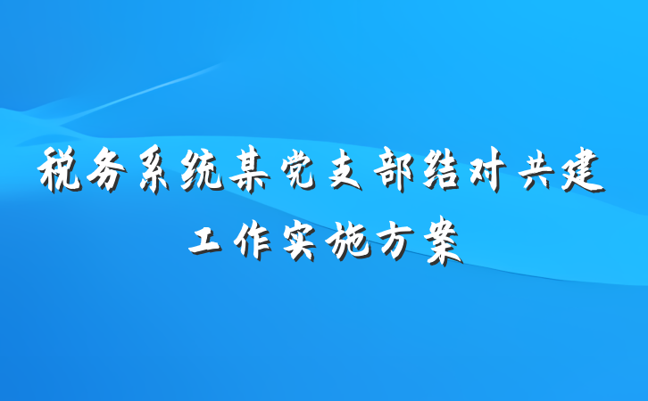税务系统某党支部结对共建工作实施方案