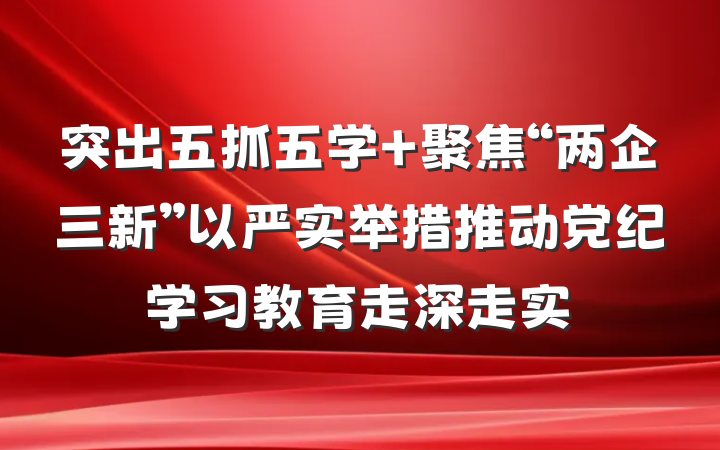 突出五抓五学 聚焦“两企三新”以严实举措推动党纪学习教育走深走实