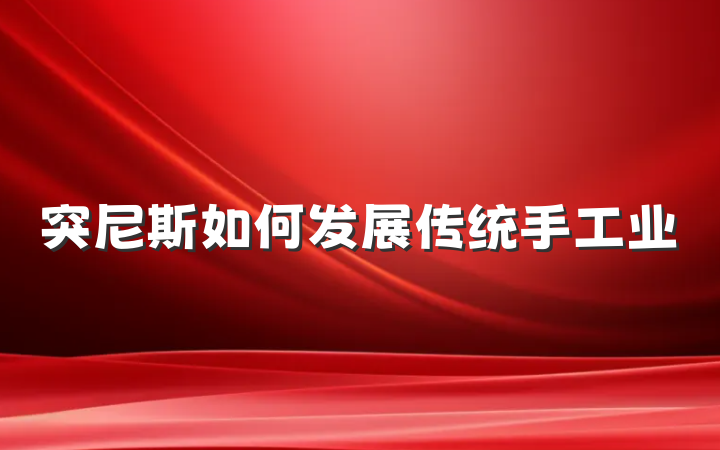 突尼斯如何发展传统手工业