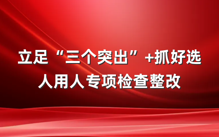 立足“三个突出” 抓好选人用人专项检查整改